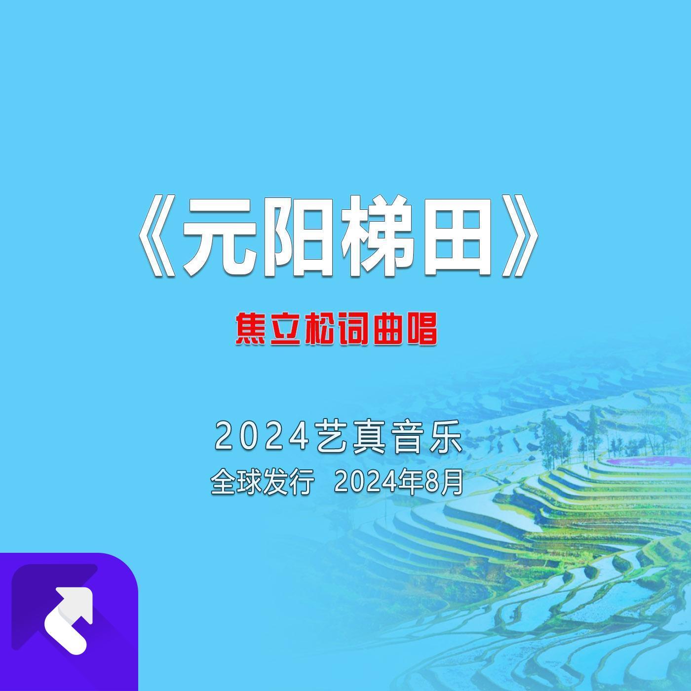元阳梯田 (现场)封面