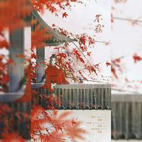 不羁-软绵绵女侠的江湖梦