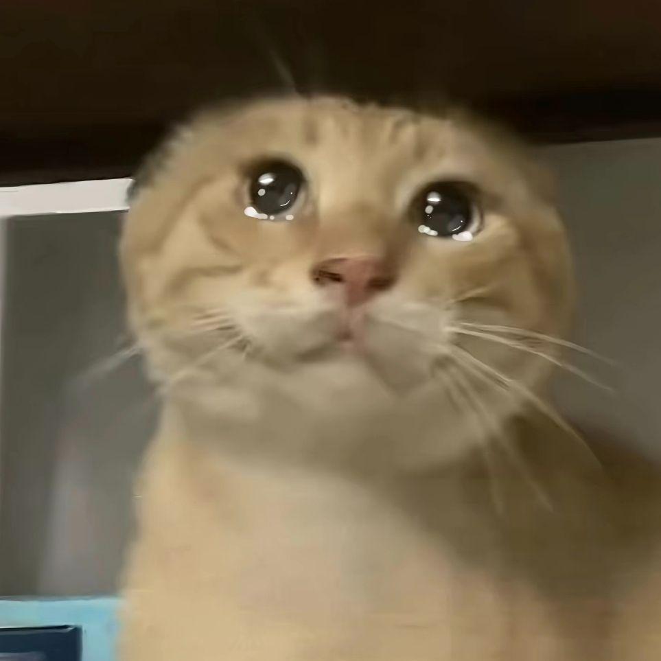 在你的身边 (哈基米纯享版)