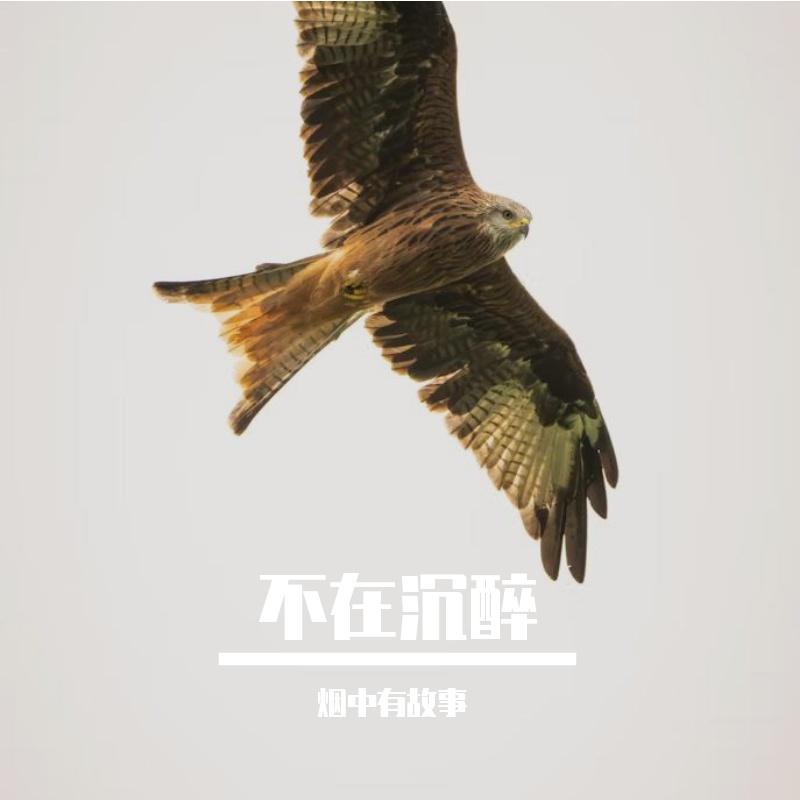 那时雨 - 烟中有故事封面