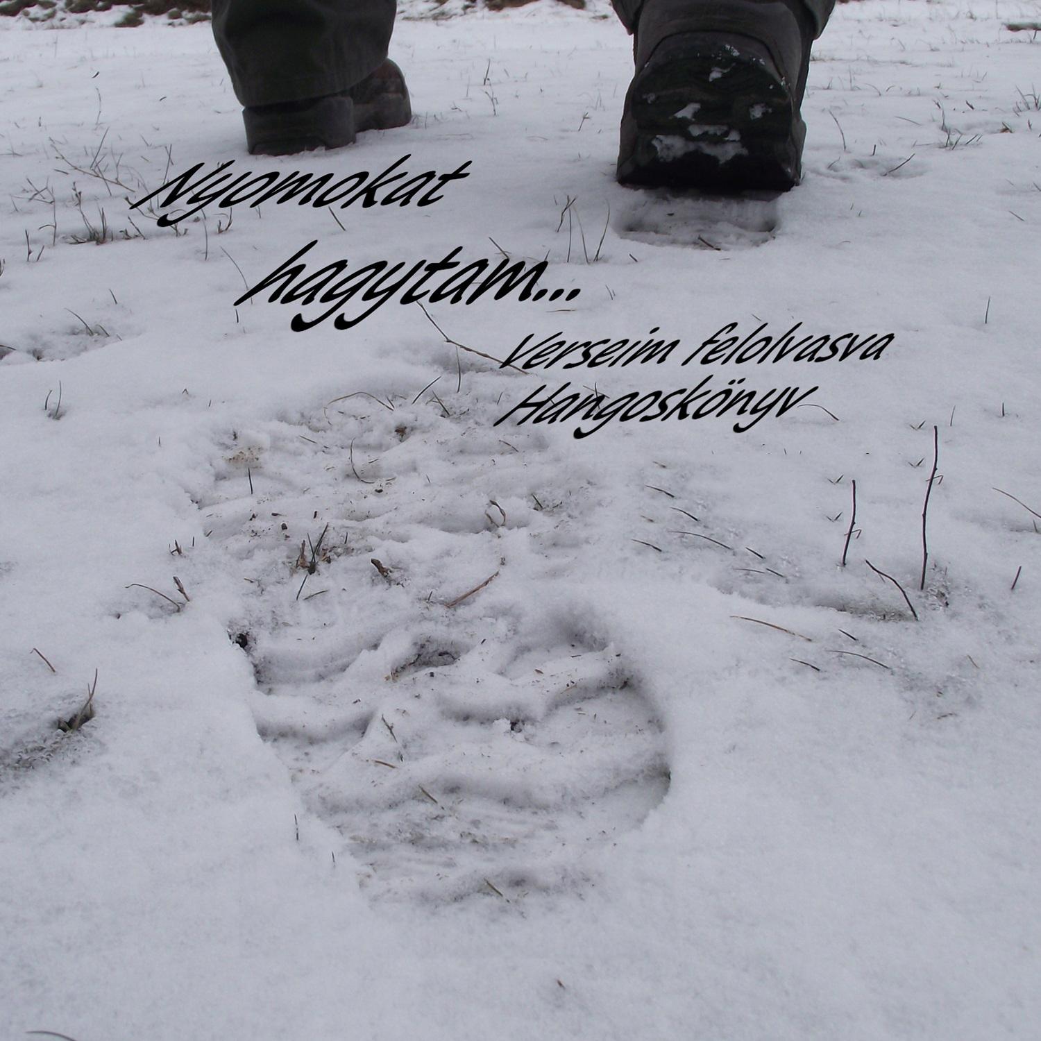 Lelkem súlya kinek a gondja?