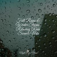 Fall Rains & Winter Storms Relaxing Rain Sounds Mix