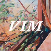 VIM