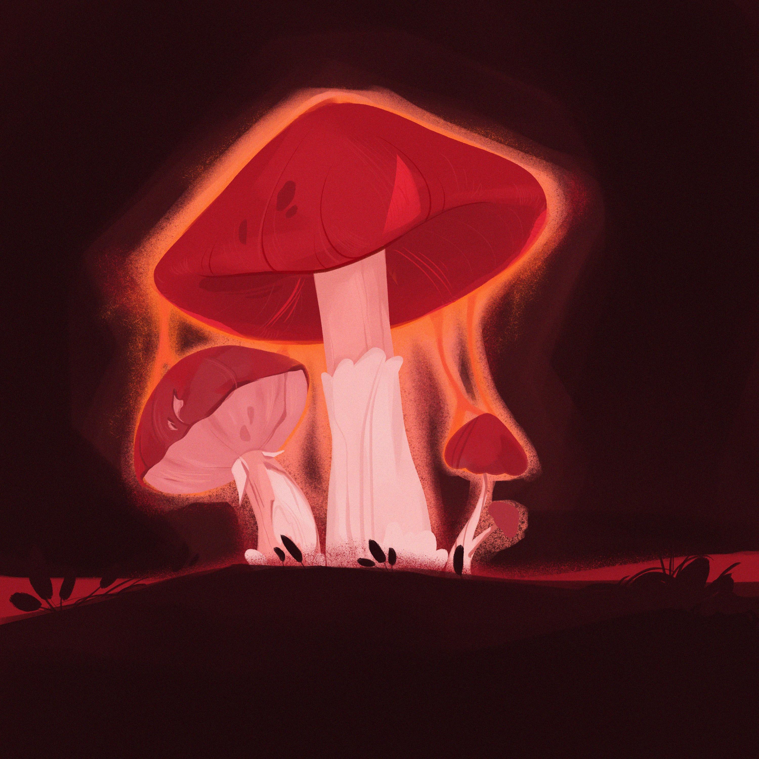Magic Mushrooms