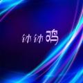 钵钵鸡 (儿童版DJ版)封面