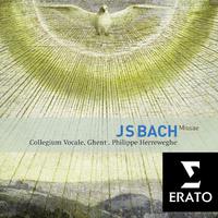 Bach: Masses, BWV 233 - 235 & Sanctus, BWV 238