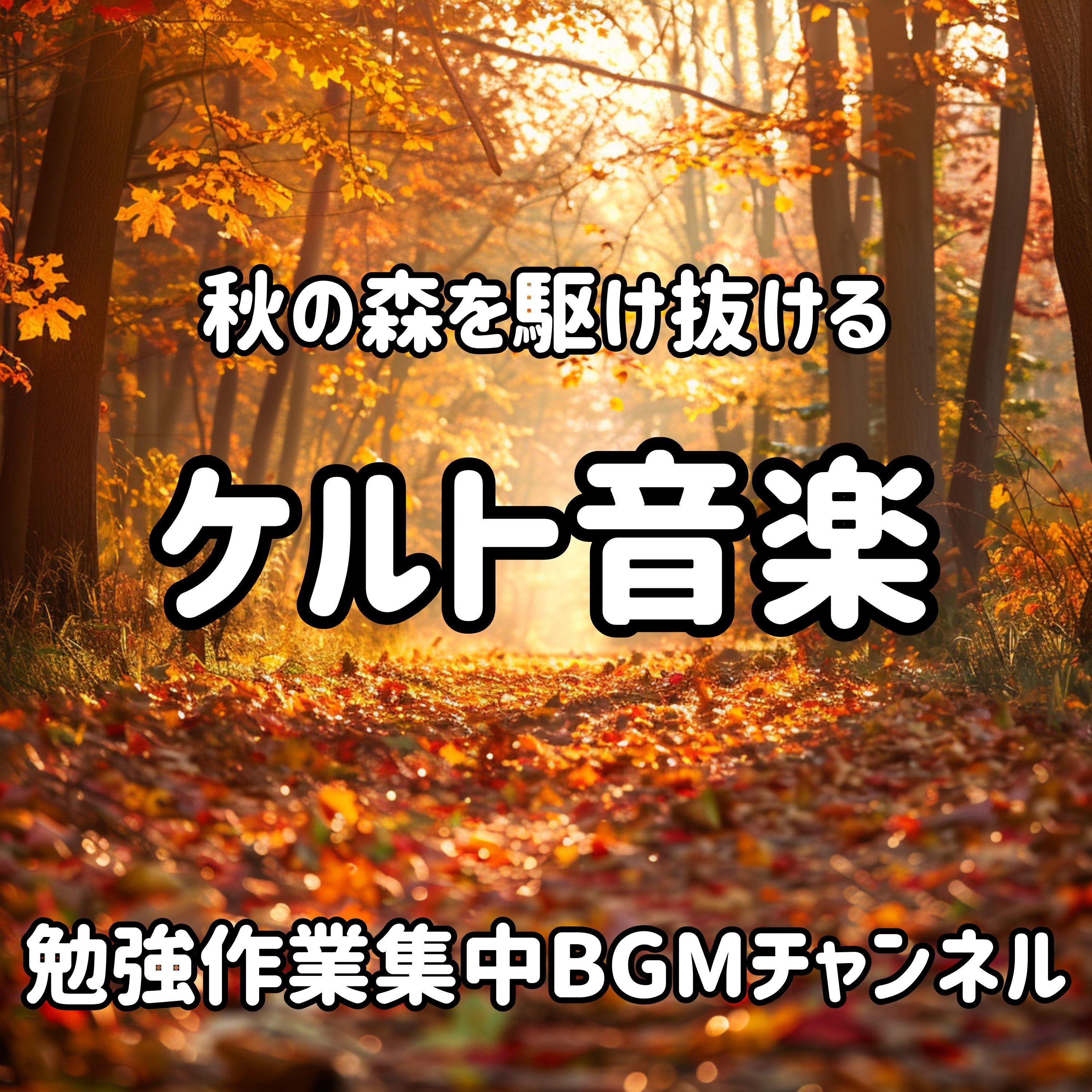 木漏れ日の小道を抜けて封面