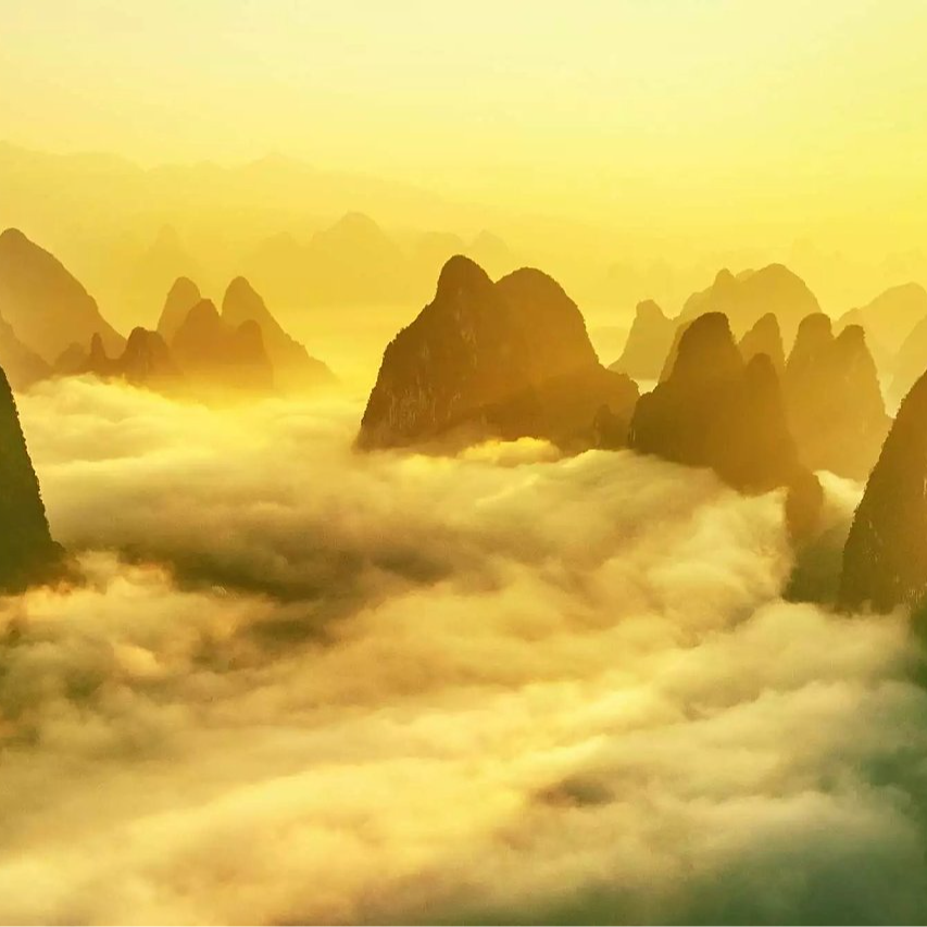 奇迹杀破狼封面