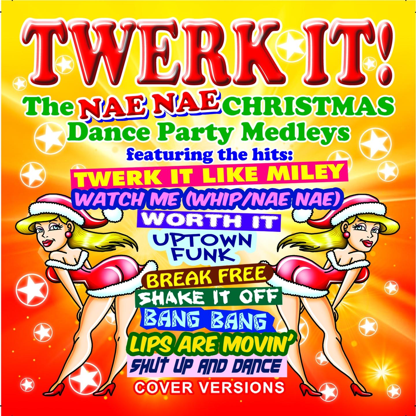 Medley, Pt. 2: Twerk It Like Miley / DeckTheHalls / Worth It / Jingle Bells