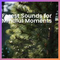 Forest Sounds for Mindful Moments