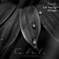 Let You Go, Voyage (original mix, radio edit)