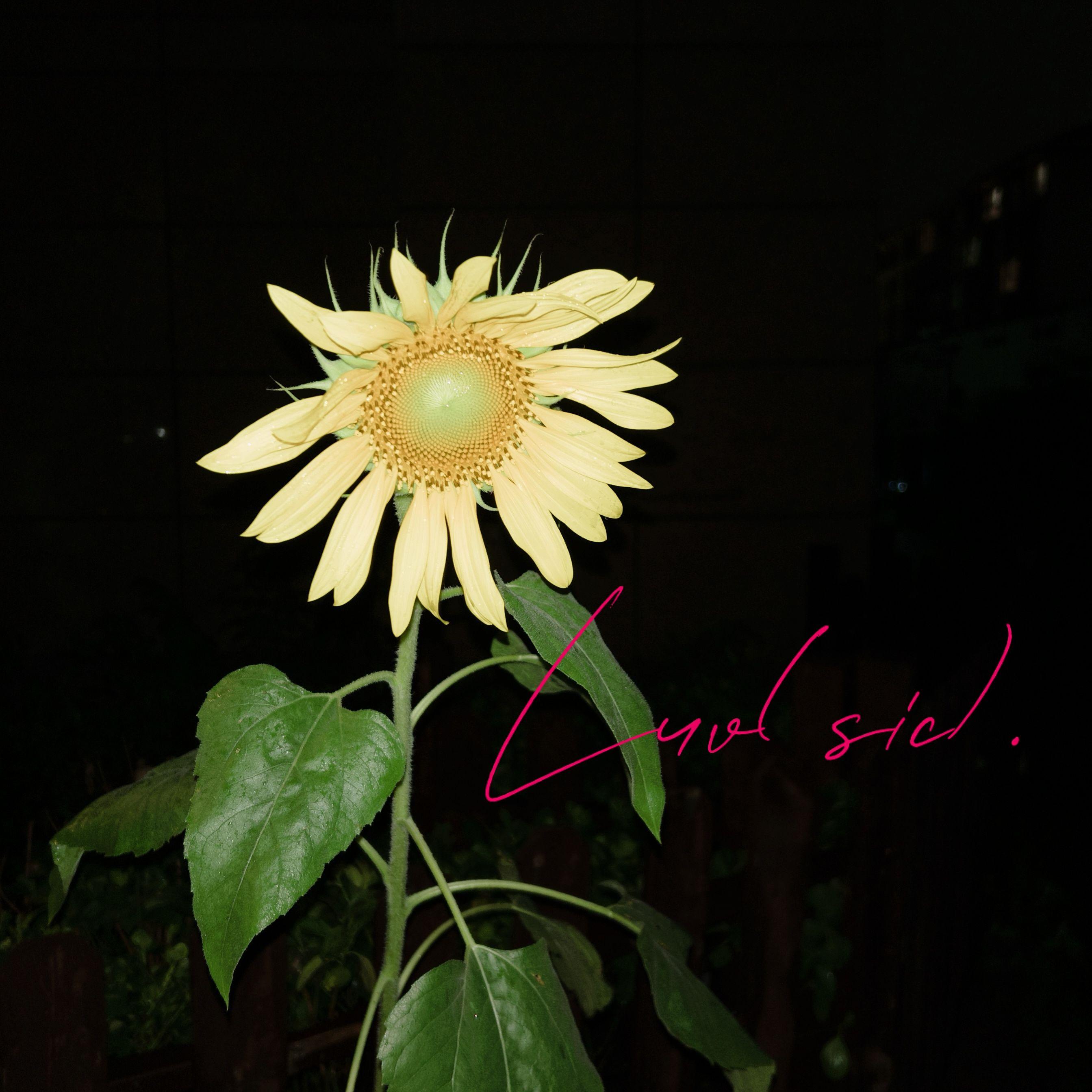 song-img