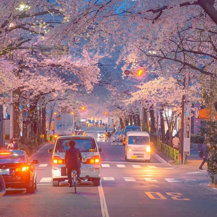 东京下雨夜封面