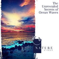 The Unrevealed Secrets of Ocean Waves