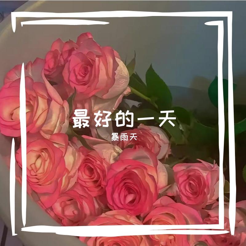 暮色烟雨封面