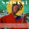 Shingai - Coming Home ( Foremost Poets Mix) (Radio Edit)