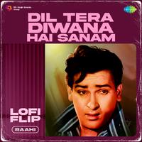 Dil Tera Diwana Hai Sanam LoFi Flip