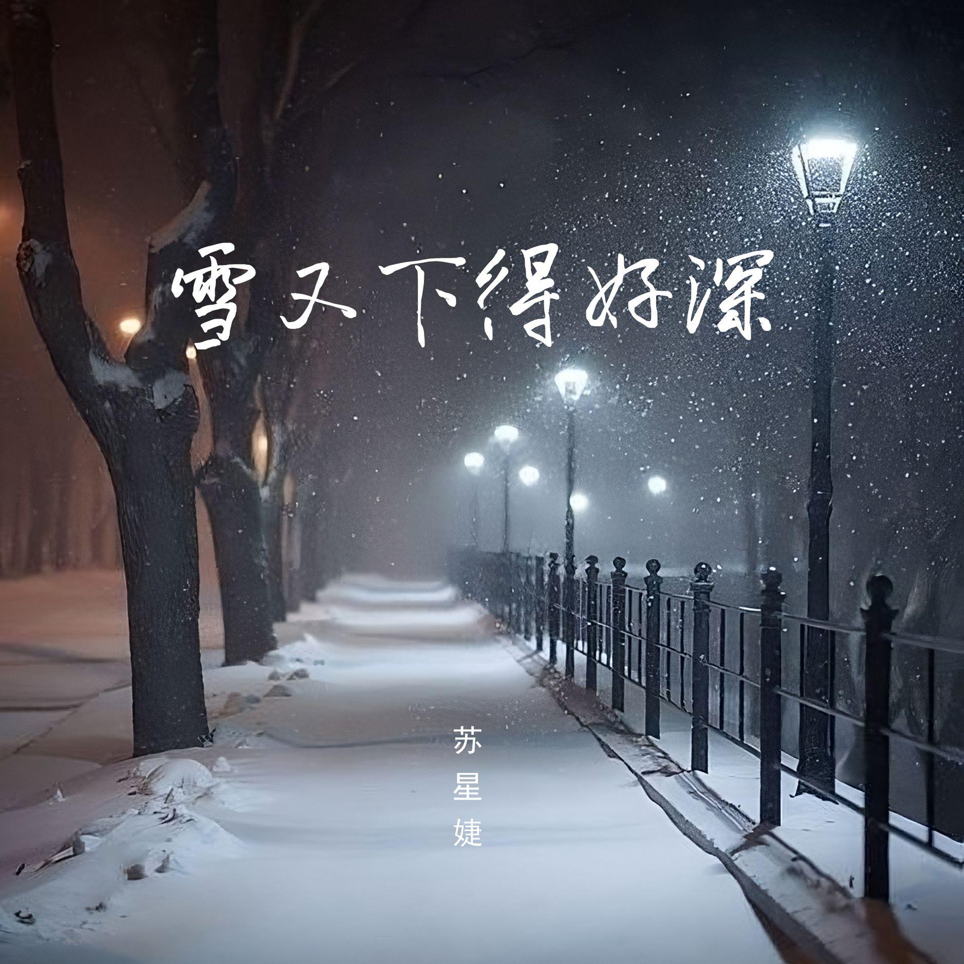 雪又下得好深 (校园广播版)封面