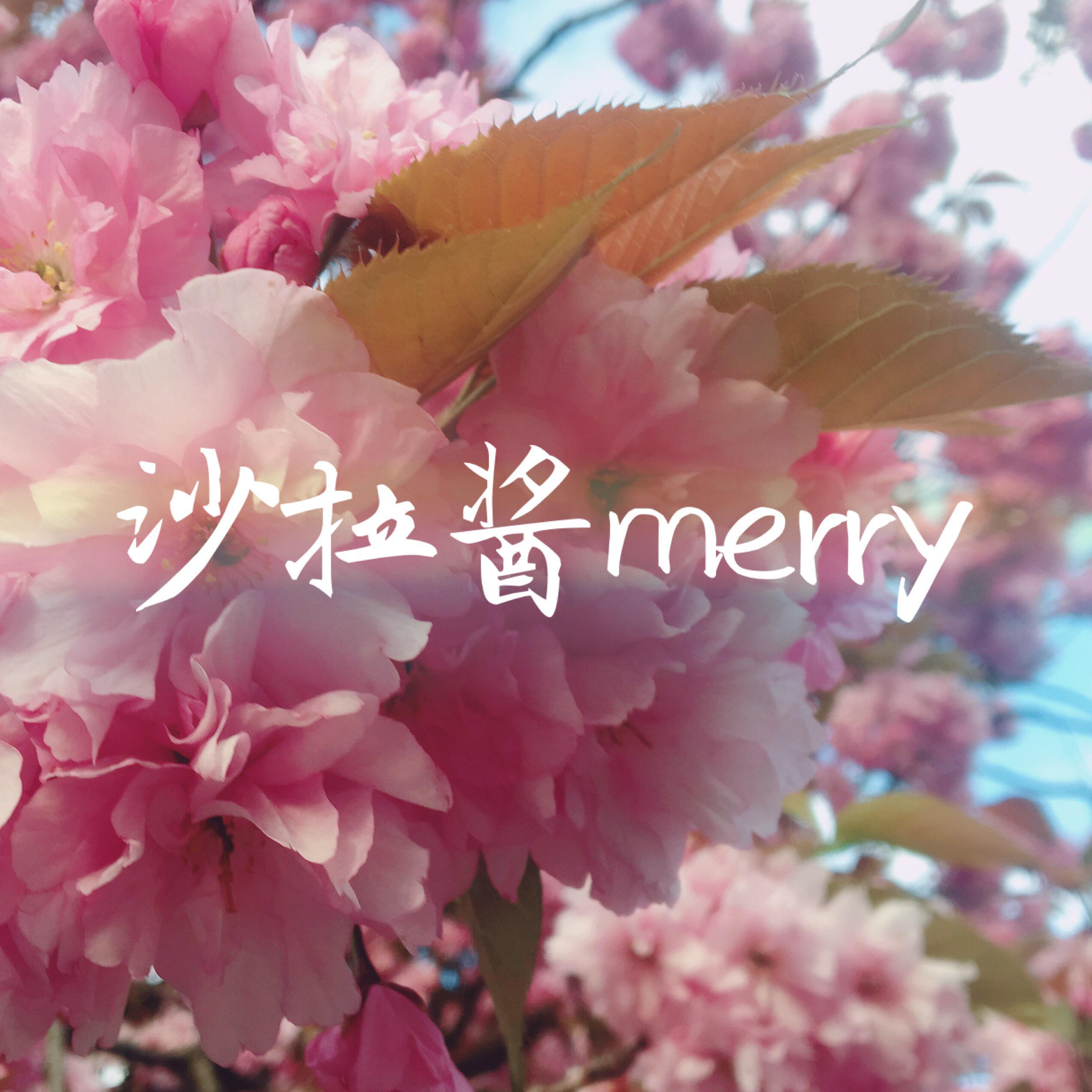 夏天的风+如果的事+心墙_沙拉酱merry_【沙拉】 夏天的风+如果的事+心墙 | 在线播放_夏天的风+如果的事+心墙歌词_夏天的风+如果的事+心墙下载 | 网易云音乐