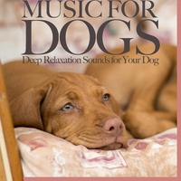 Music For Dogs: Deep Relaxation Sounds for Your Dog