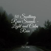 50 Soothing Rain Sounds - Light and Calm Rain