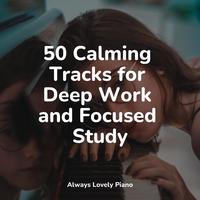 50 Calm & Tranquil Tracks for the Ultimate Relaxation