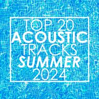 Top 20 Acoustic Tracks Summer 2024 (Instrumental)