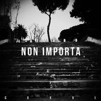 Non Importa