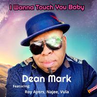 I Wanna Touch You Baby (feat. Roy Ayers, Najee & Vula)