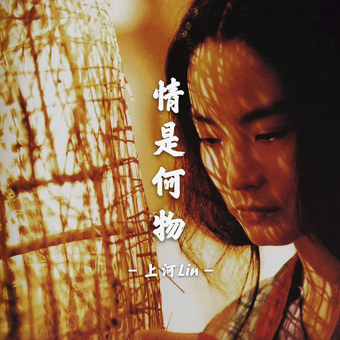 情是何物封面