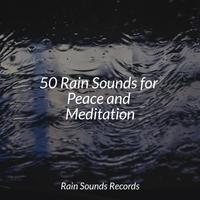 50 Rain Sounds for Peace and Meditation