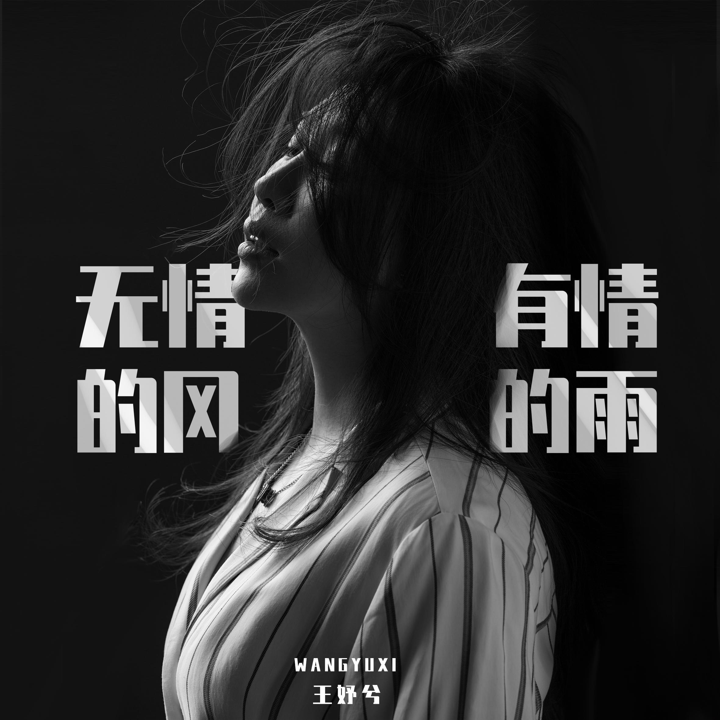 无情的风有情的雨封面