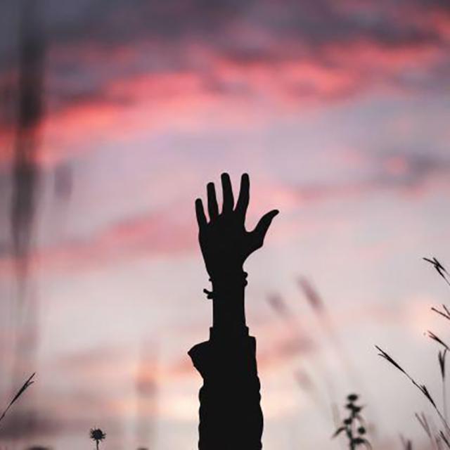 纯◎