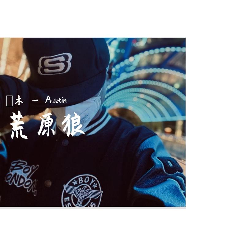 荒原狼（伴奏）封面