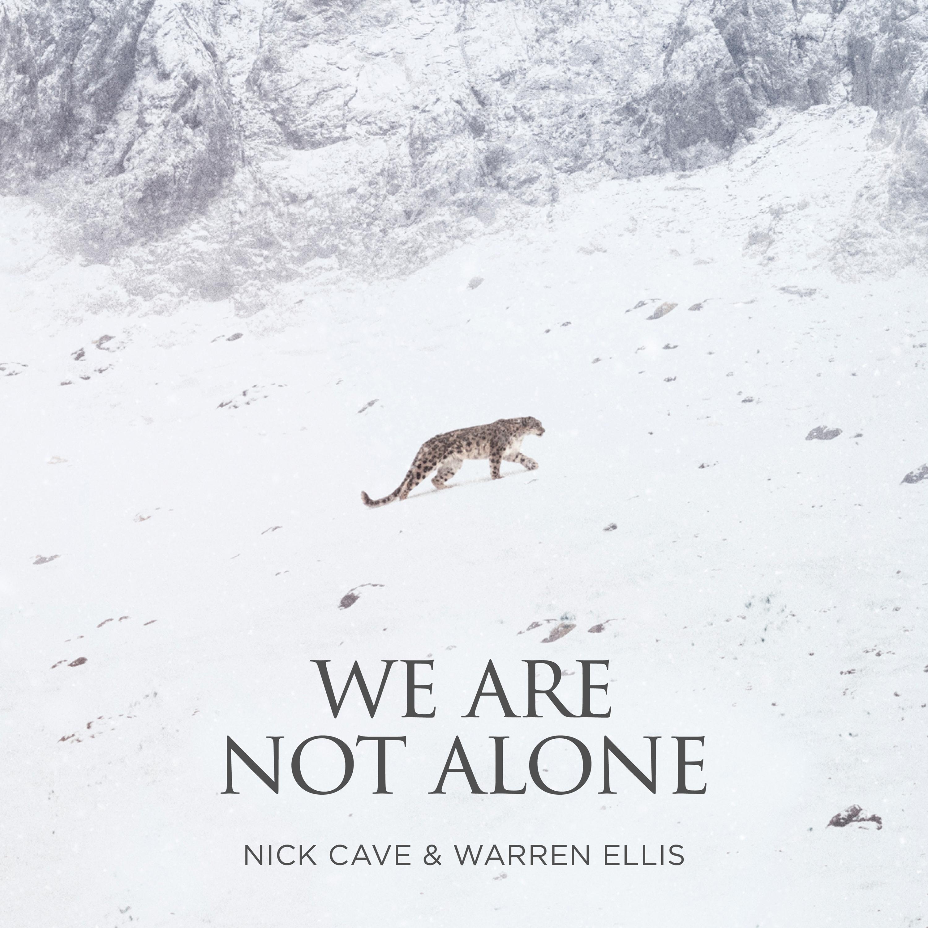 We Are Not Alone封面