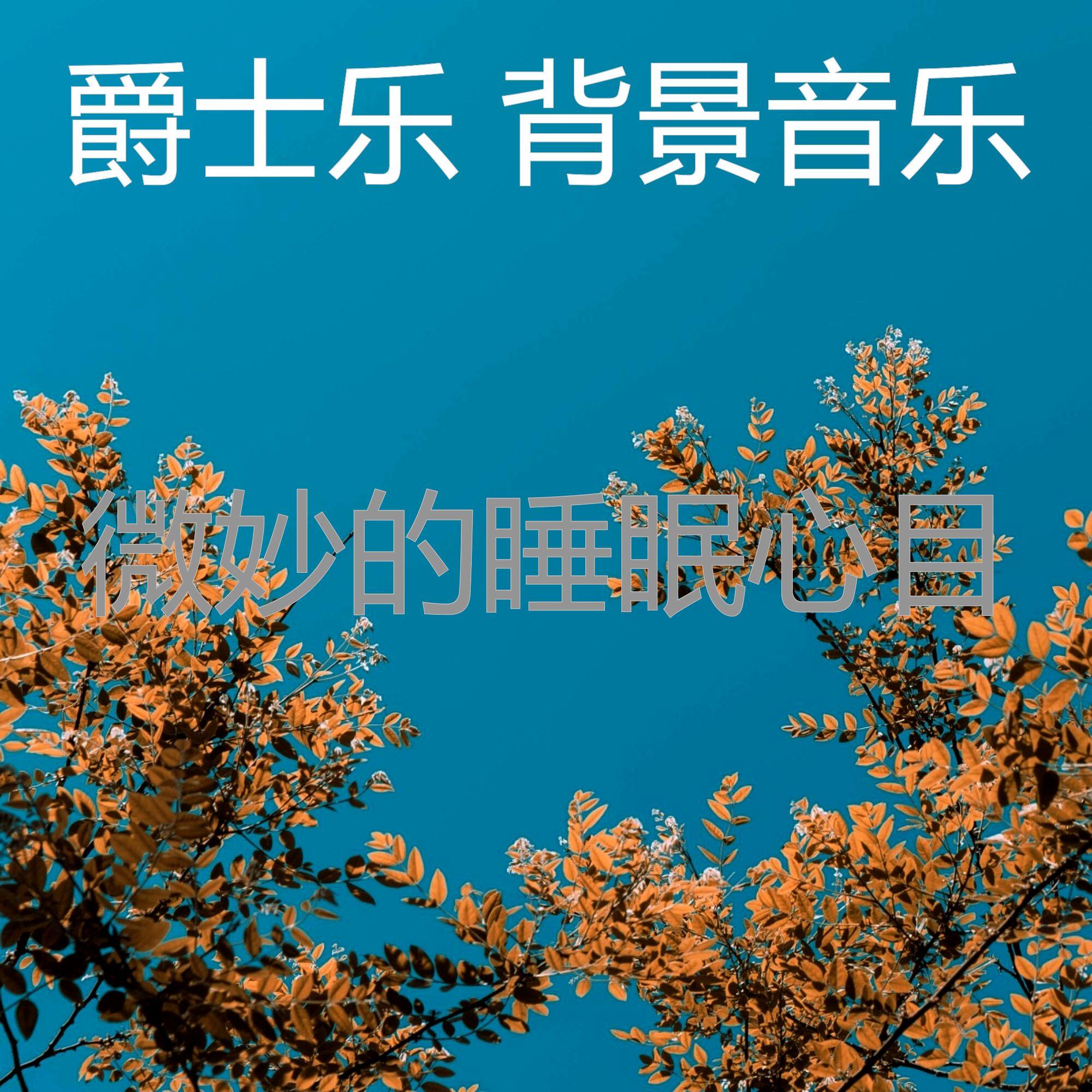 诗意的做梦节奏 - 爵士乐 背景音乐封面