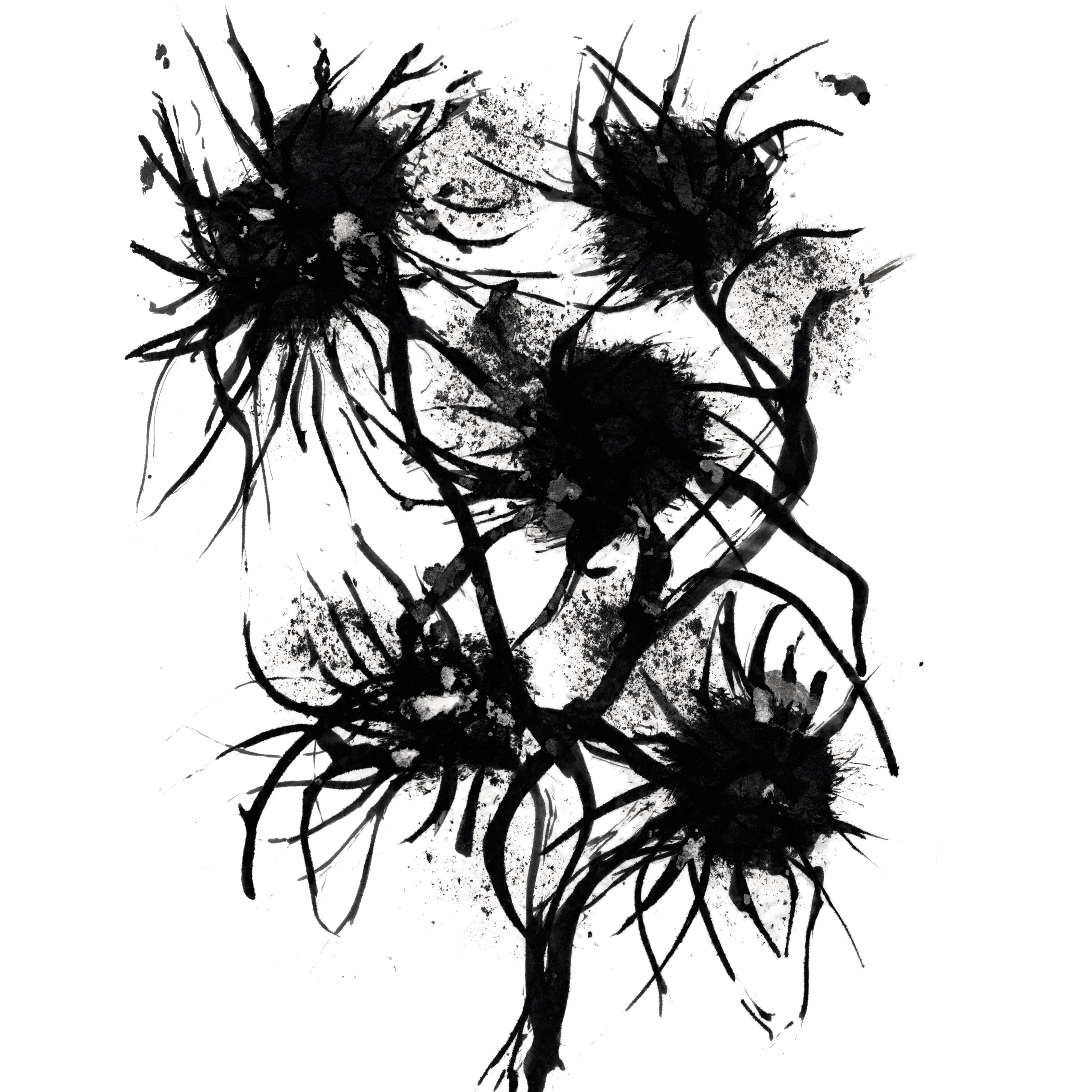 Souviens-toi de ces douces soirées