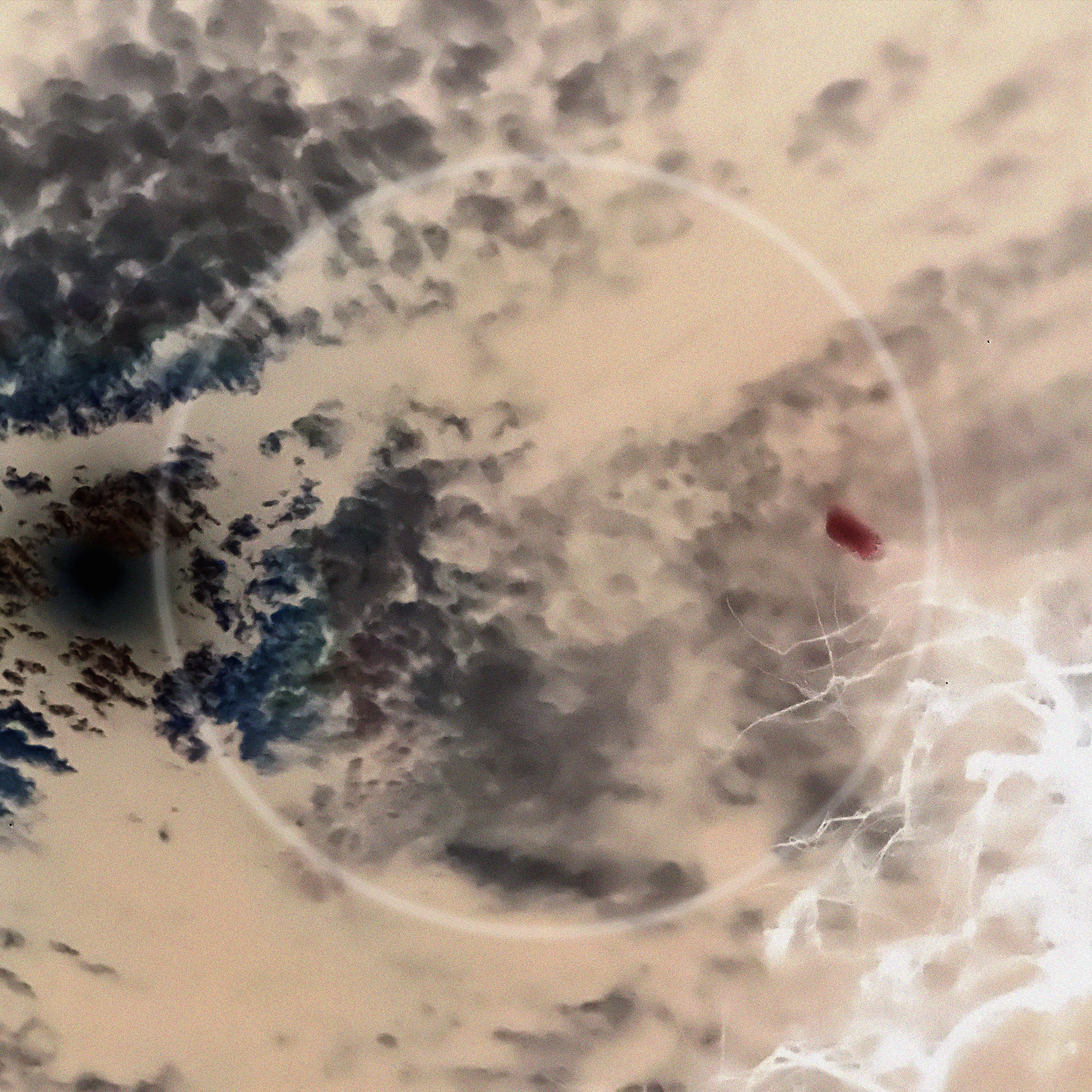 the face of the earth