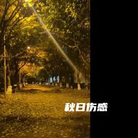 秋日伤感（铜管五重奏）