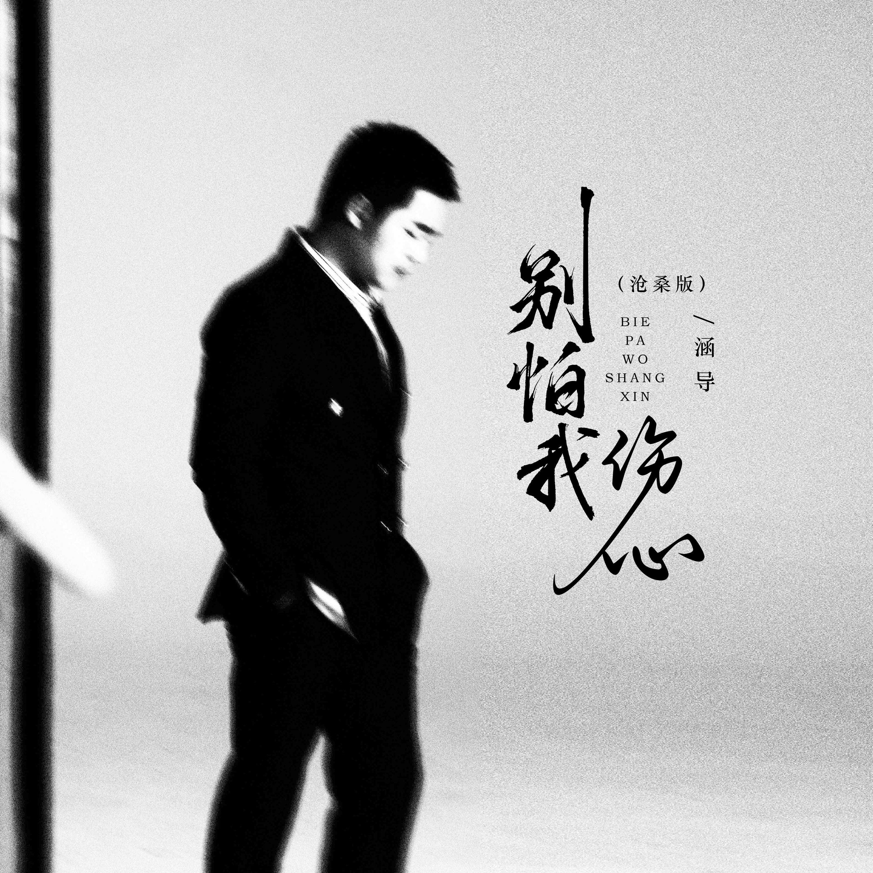 别怕我伤心（沧桑版）封面