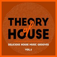 Theory of House (Delicious House Music Grooves), Vol. 6