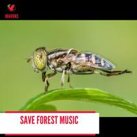 Save Forest Music