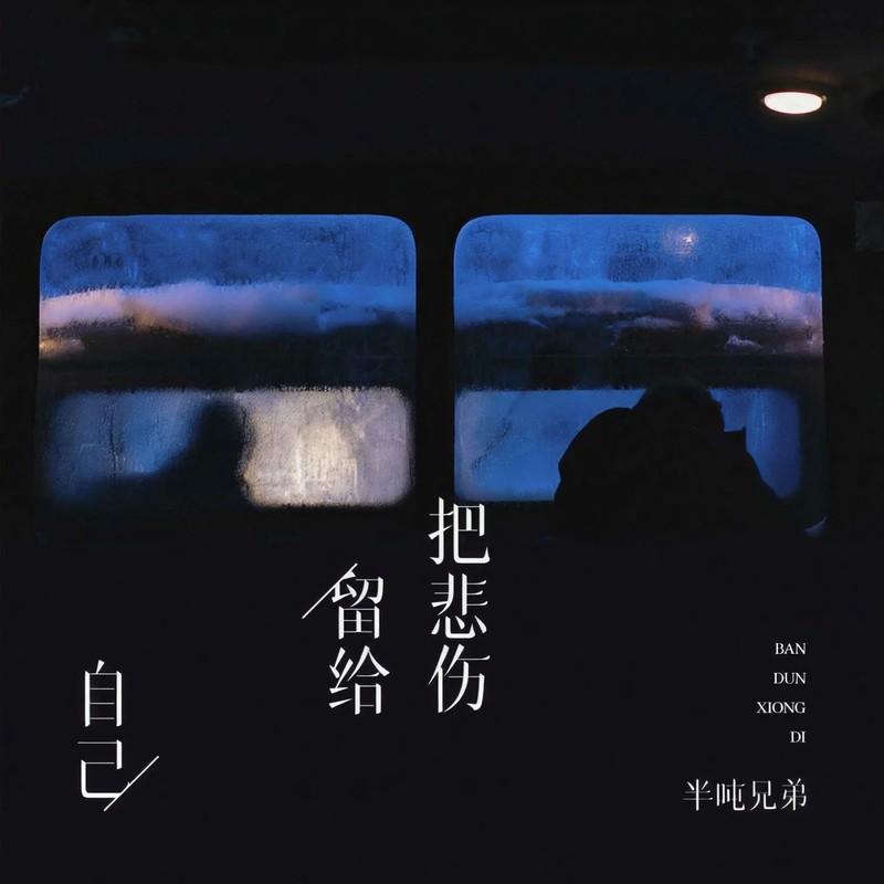 把悲伤留给自己 (DJ九零版) - 半吨兄弟封面
