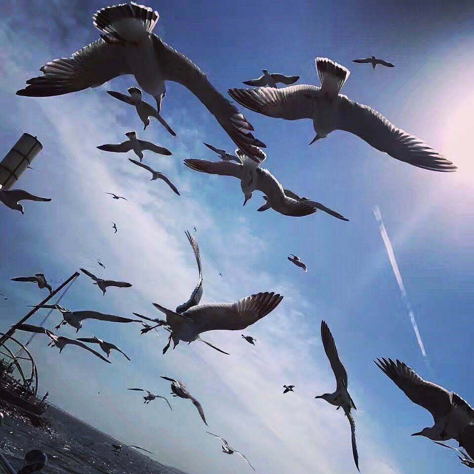 永彬Ryan.B-没有理由（EDM）（明洋 remix）