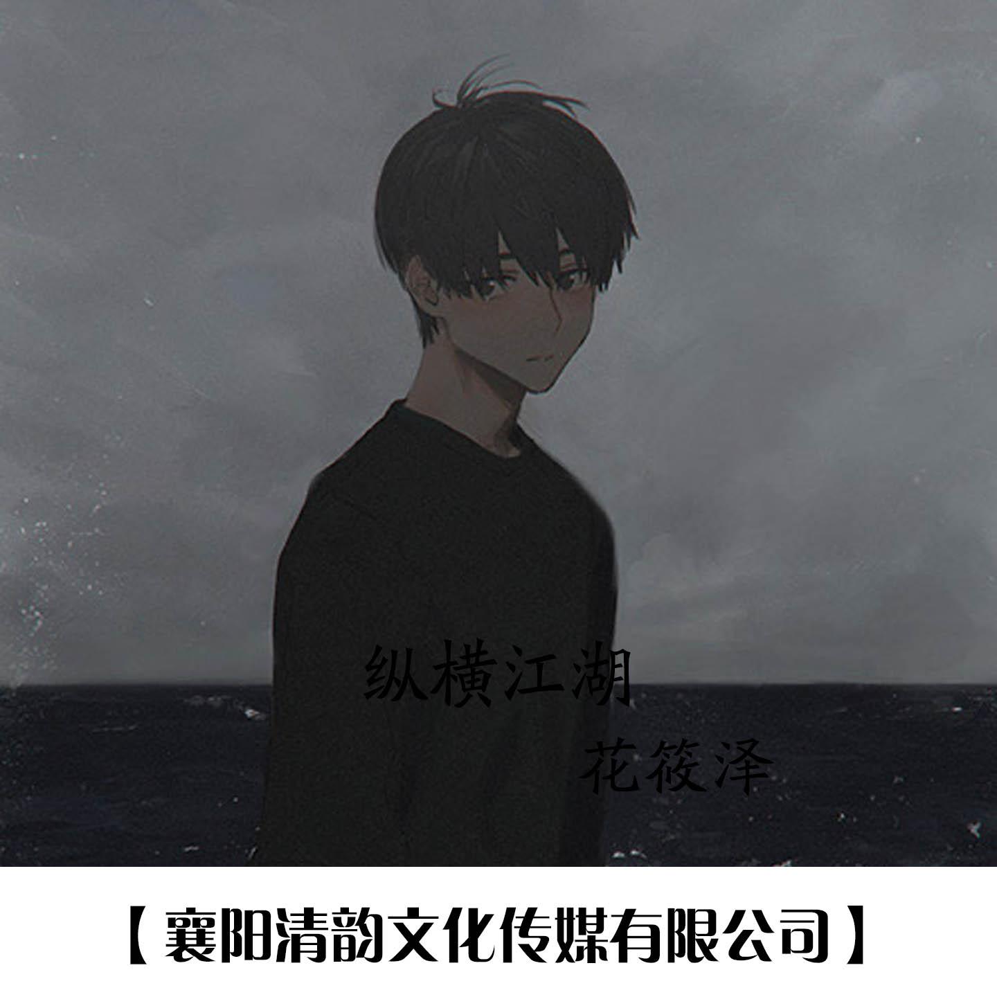 纵横江湖封面