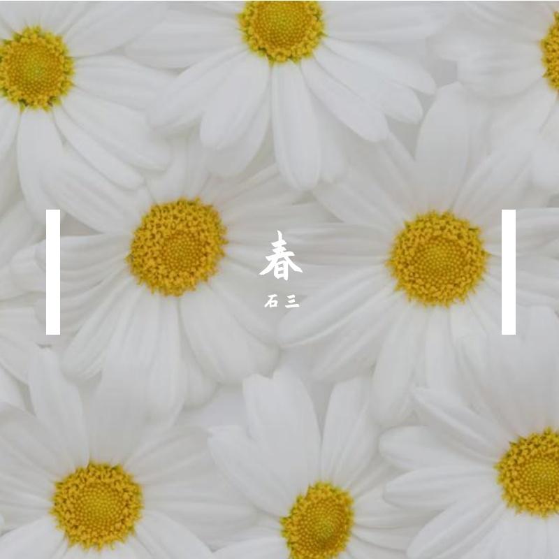 弹簧力的春天2.0封面