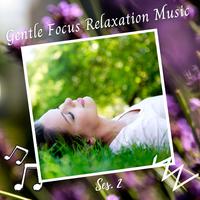 Gentle Focus Relaxation Music Ses. 2