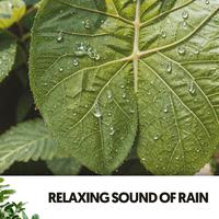 Relaxing Sound of Rain: Melodies from the Sky