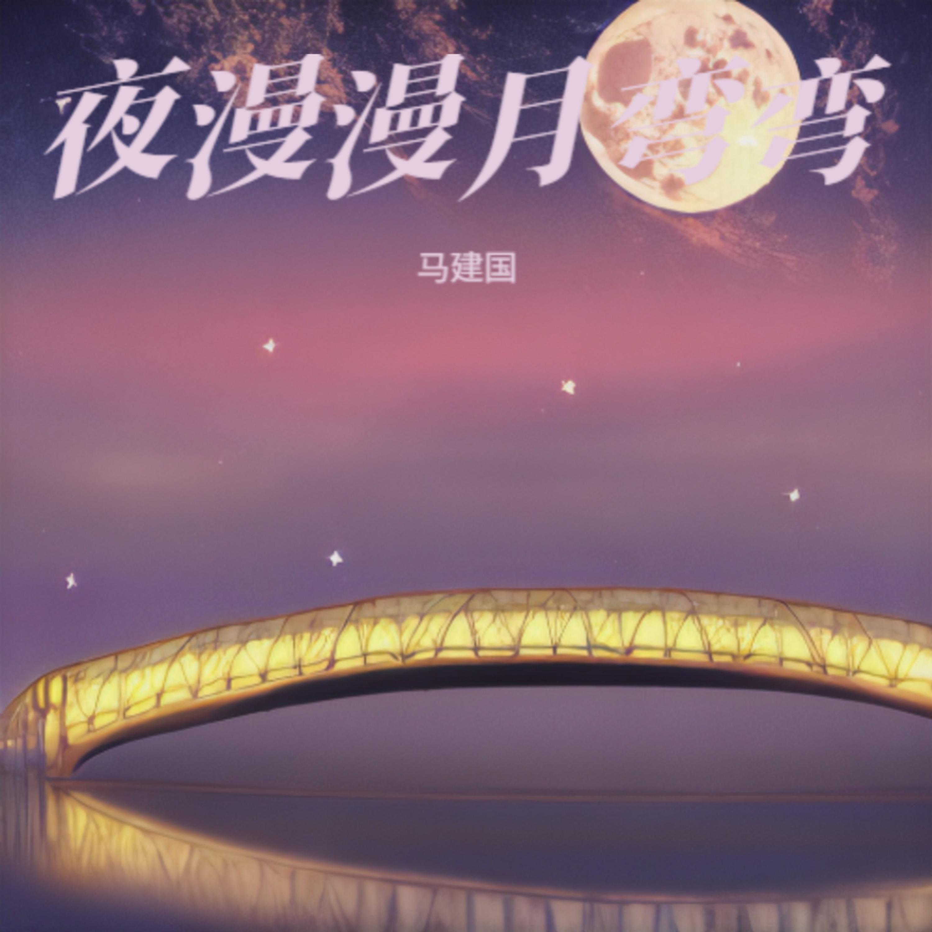夜漫漫月弯弯 (Live版)封面