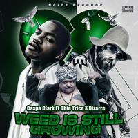 Weed is still Growing (feat. Obie Trice & Bizarre)